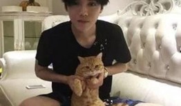 鹿晗豪宅爆料视频播放网站,独家视频带你领略明星奢华生活